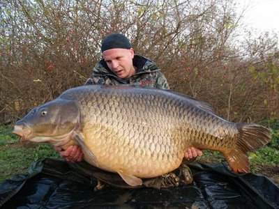 common carp fishing. Carp tv. carp fishing - Home