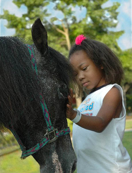 Molly - the hurricane pony