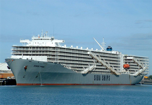 Stella Deneb - largest livestock carrier