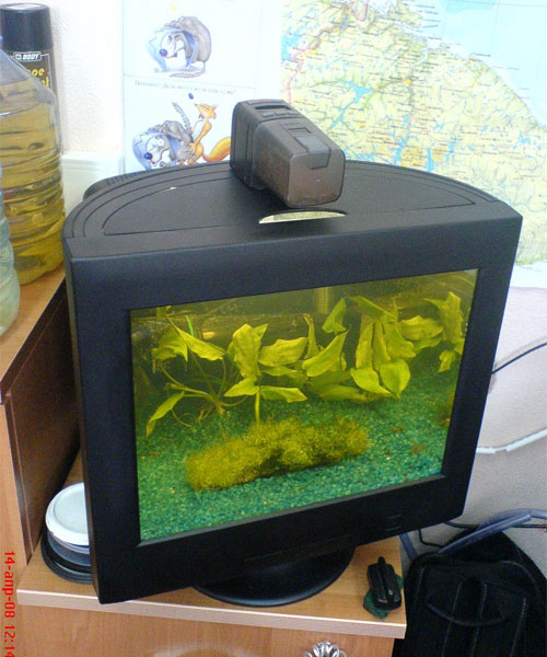 CRT display aquarium