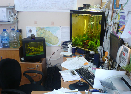 CRT display aquarium