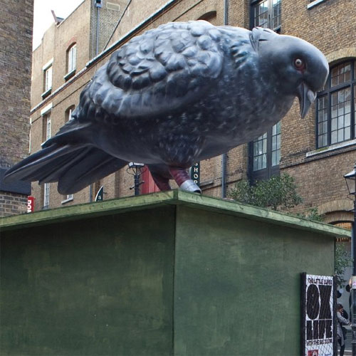 Giant pigeon in London