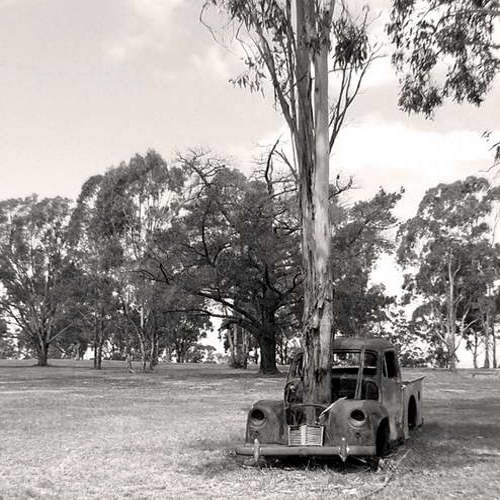 Tree grown through the old car in Uruguay