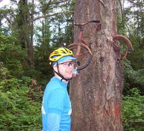 Vashon Island bike in a tree by Kent Peterson