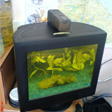 CRT Aquarium