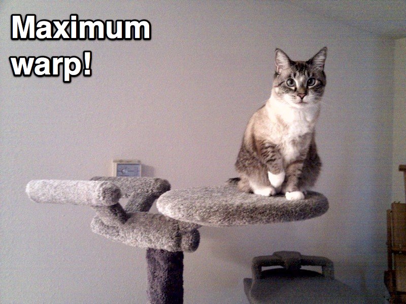 star-trek-cat-scratching-post.jpg