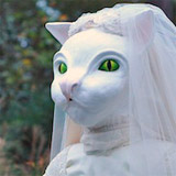 Cat Bride