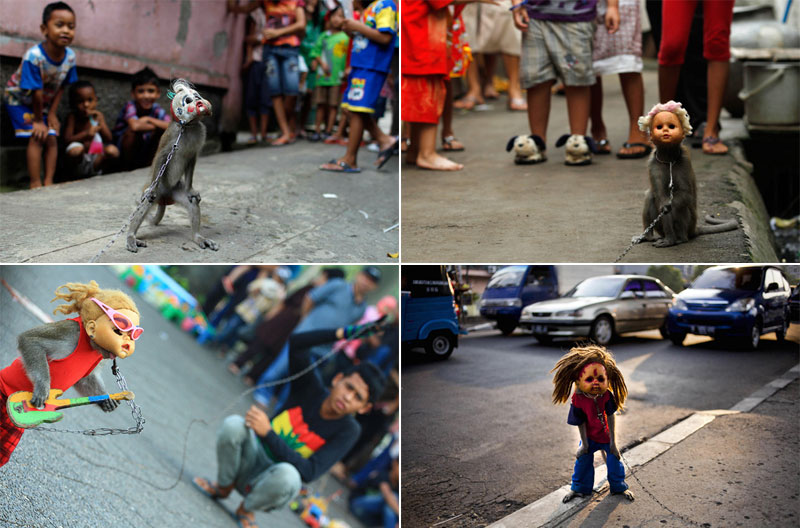 Masked monkeys on the streets of Indonesia