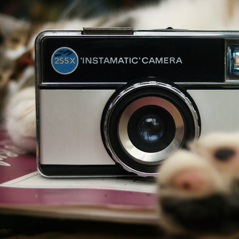 10. Cat is relaxing with Instamatic camera. Photo by Der Ohlsen