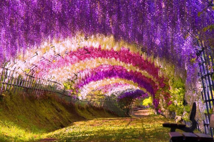 Tunnels from trees