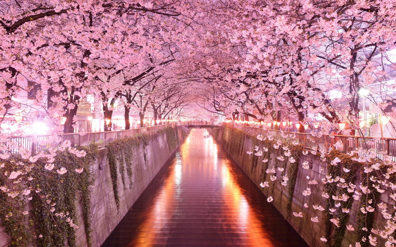 Tunnels from trees