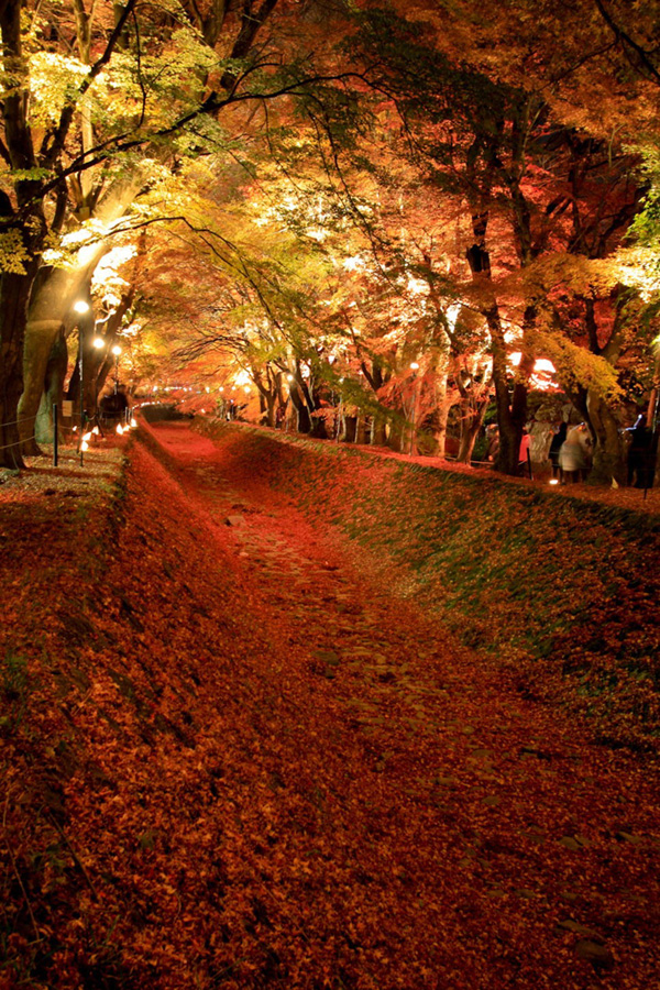 Tunnels from trees