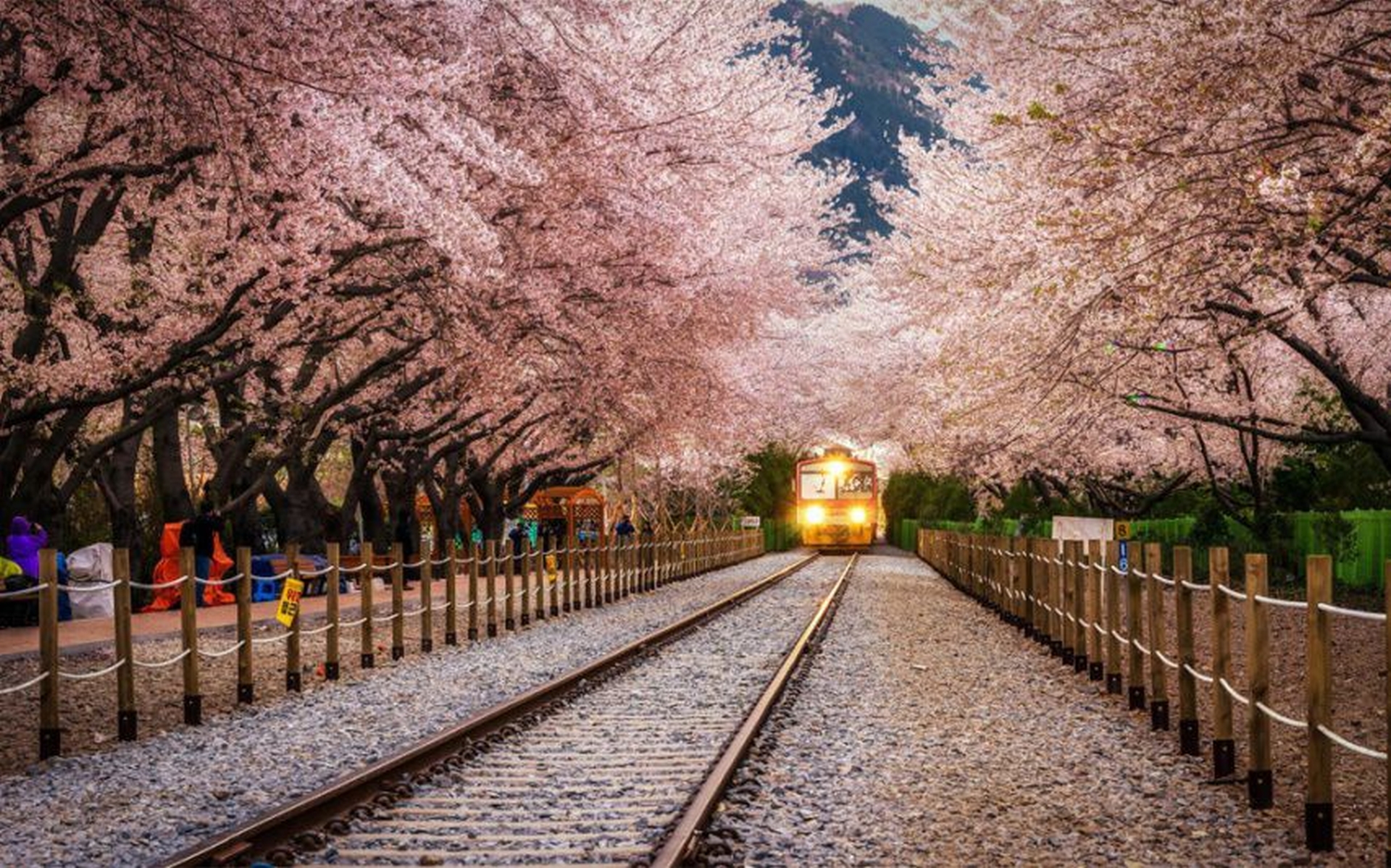 Tunnels from trees