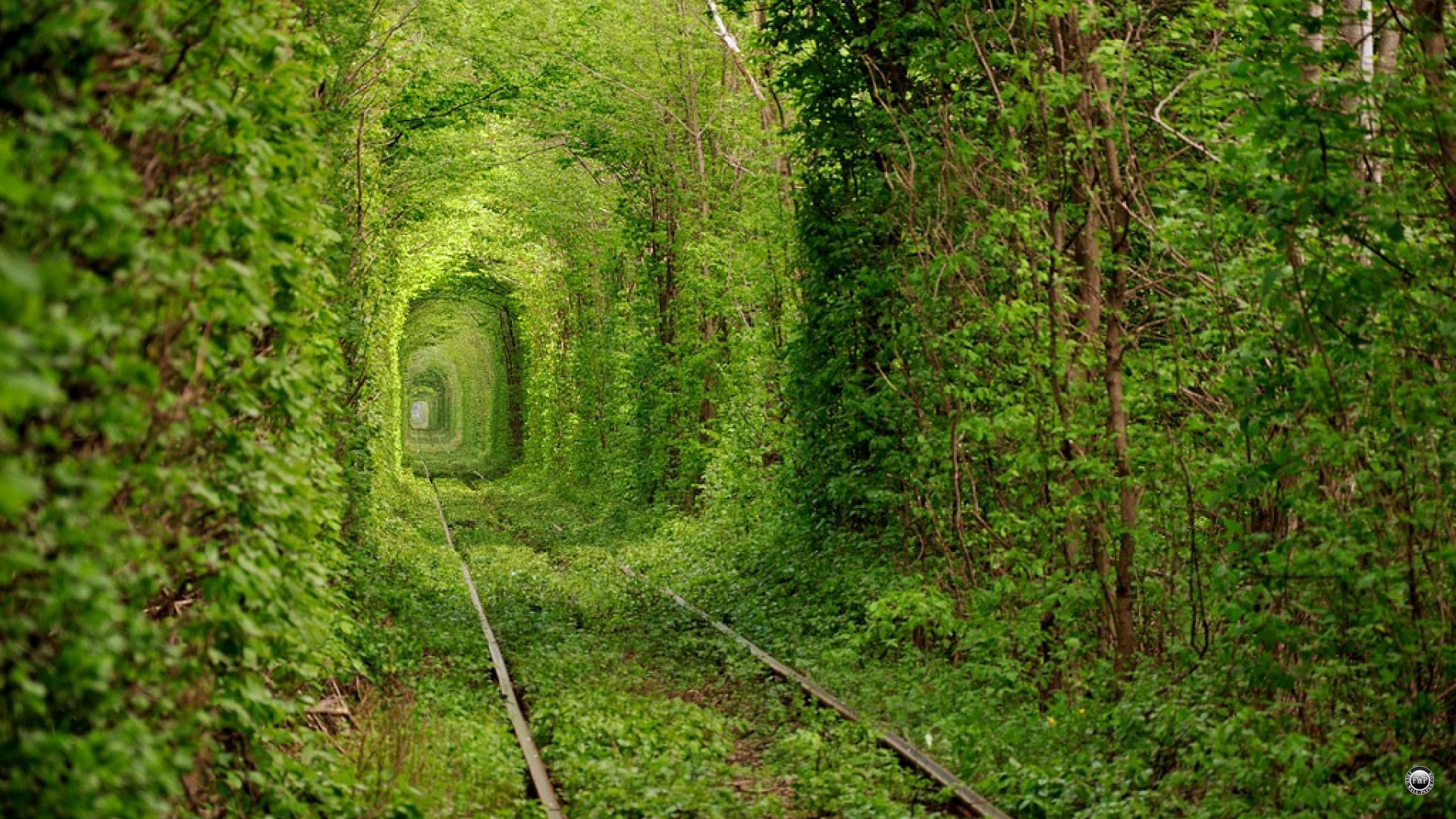Tunnels from trees