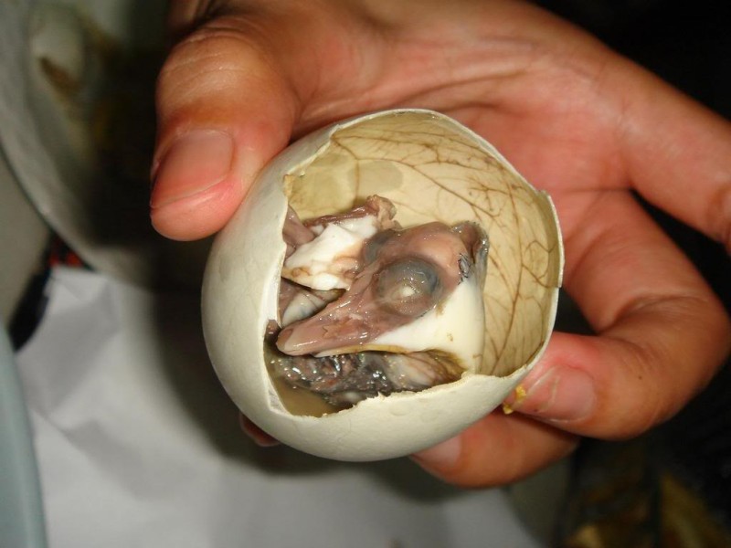 Balut