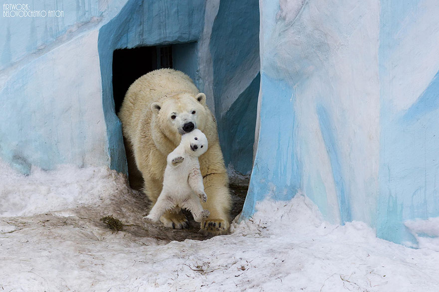 These animals will teach us how to be good parents