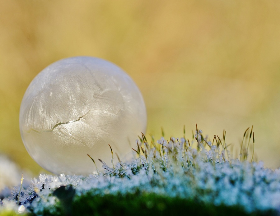 Natural masterpieces of ice