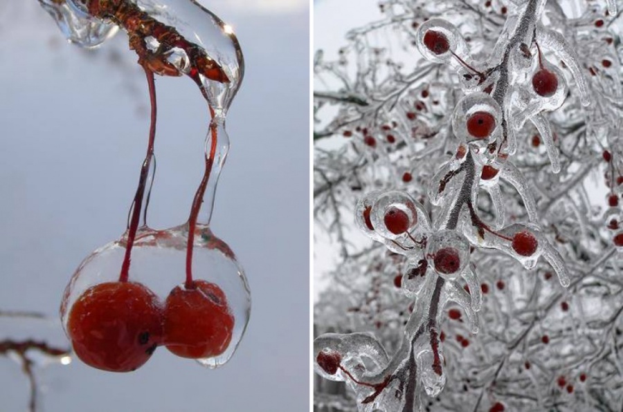 Natural masterpieces of ice