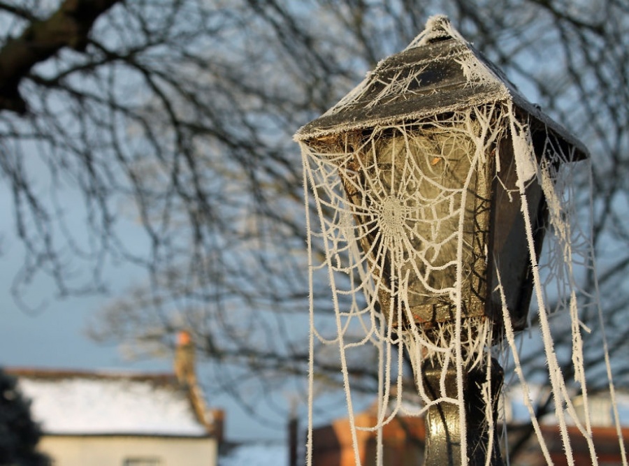 Natural masterpieces of ice