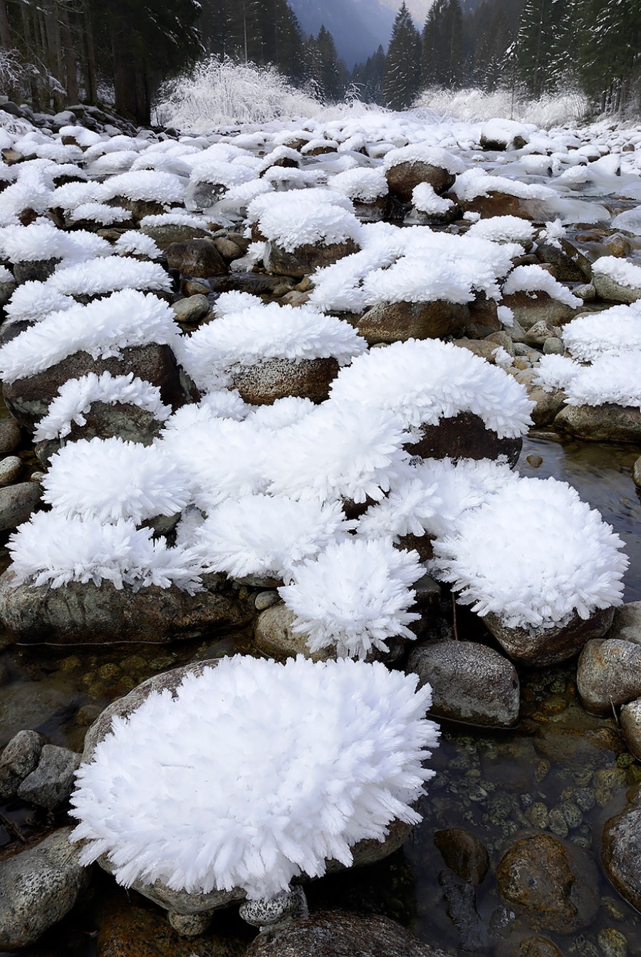 Natural masterpieces of ice