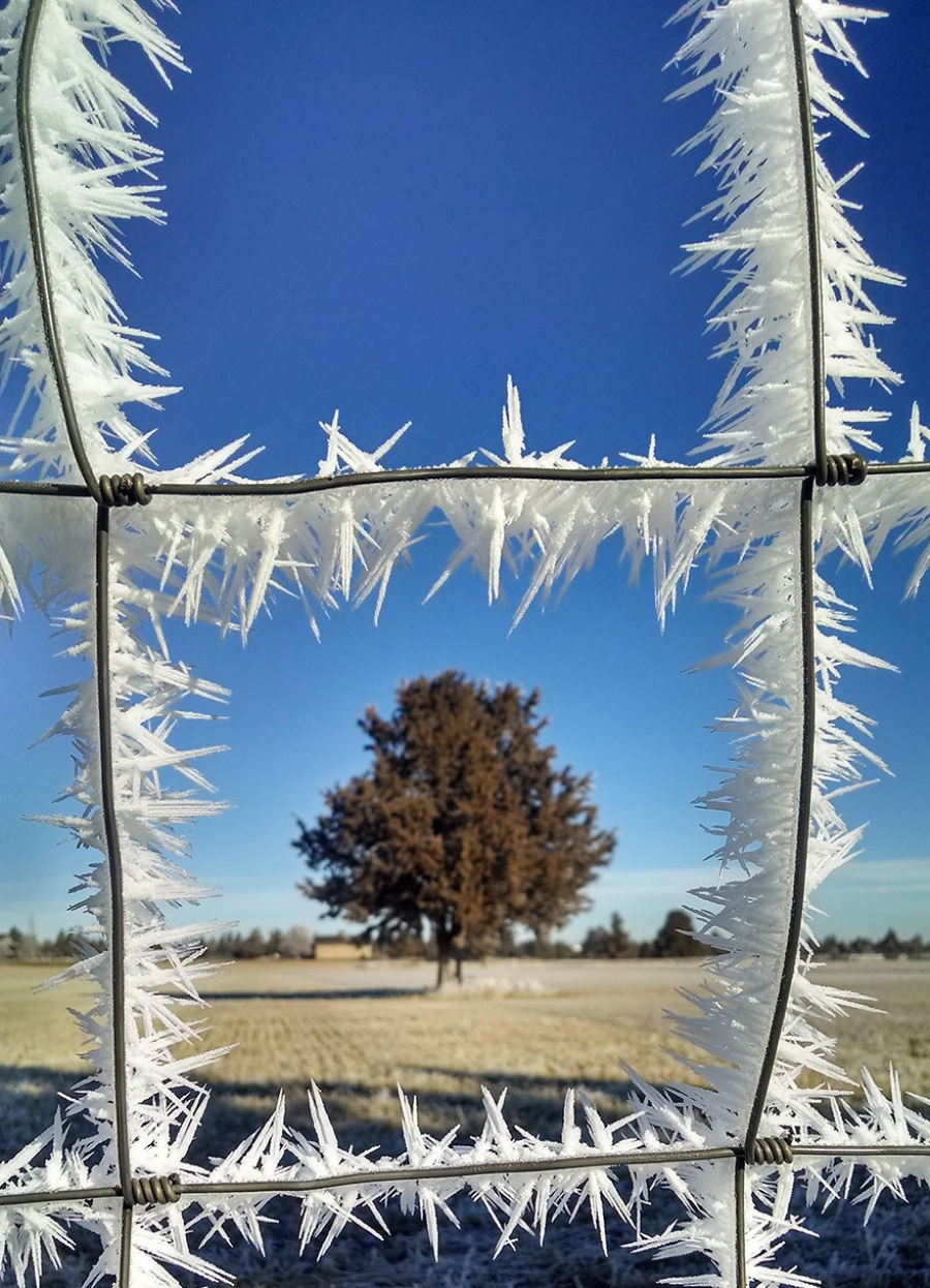 Natural masterpieces of ice