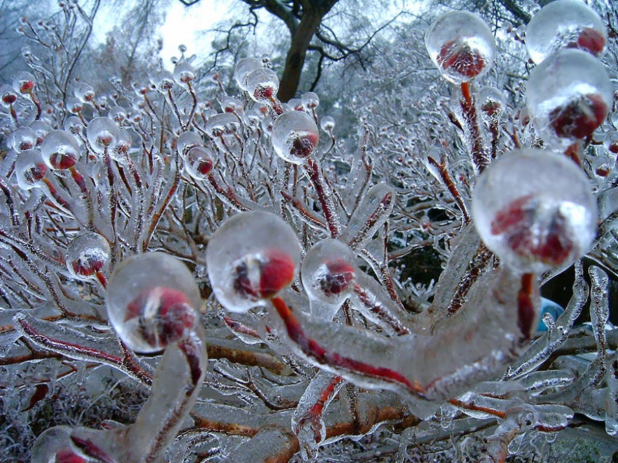 Natural masterpieces of ice