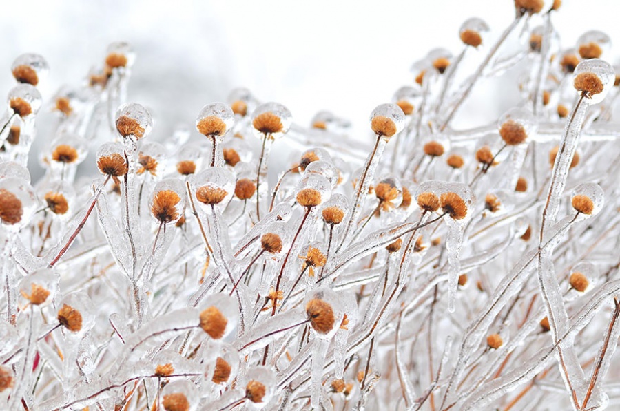 Natural masterpieces of ice