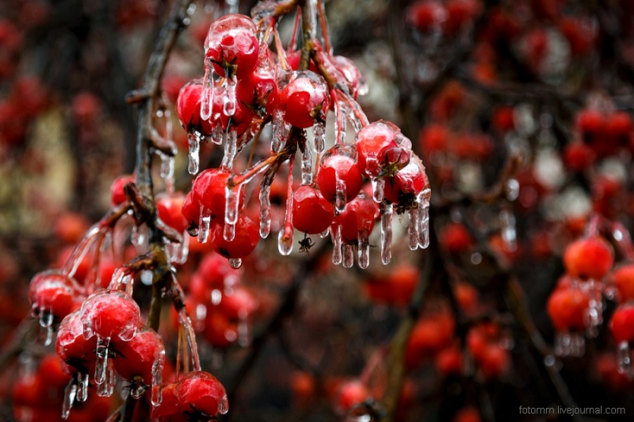 Natural masterpieces of ice