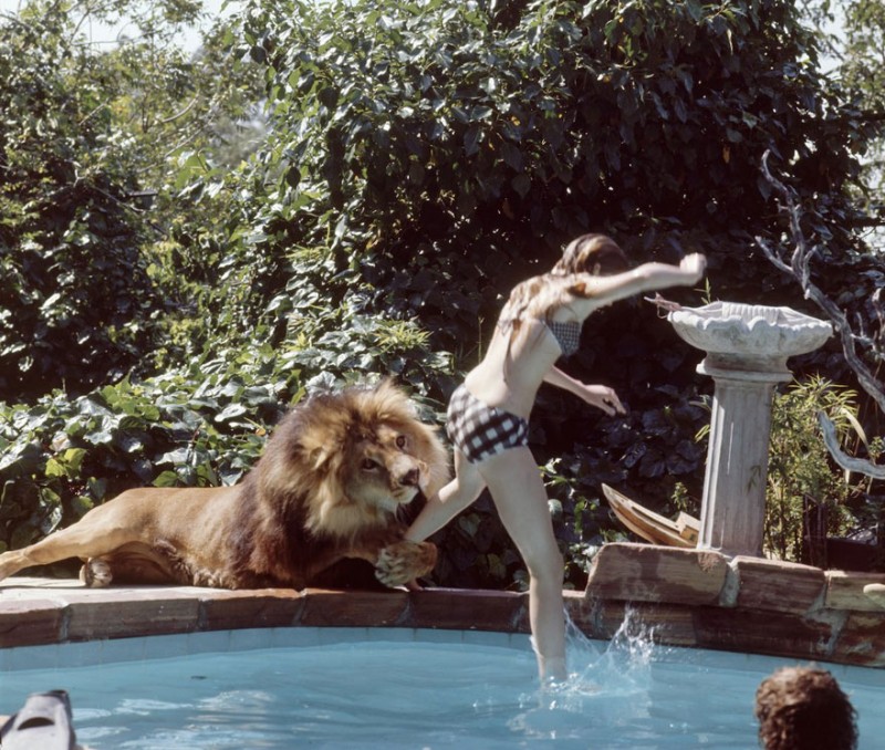 Melanie jumping into a swimming pool while Neil grabs her leg