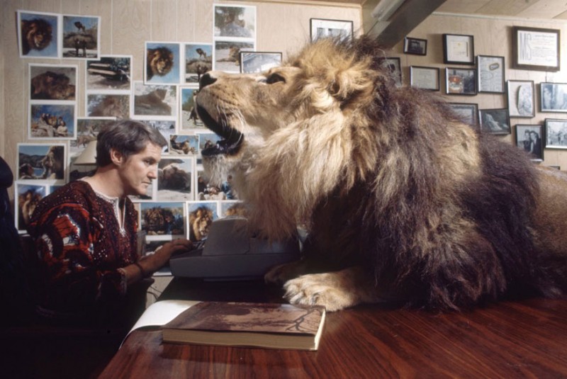 Noel Marshall tries to work in his study with Neil on his desk