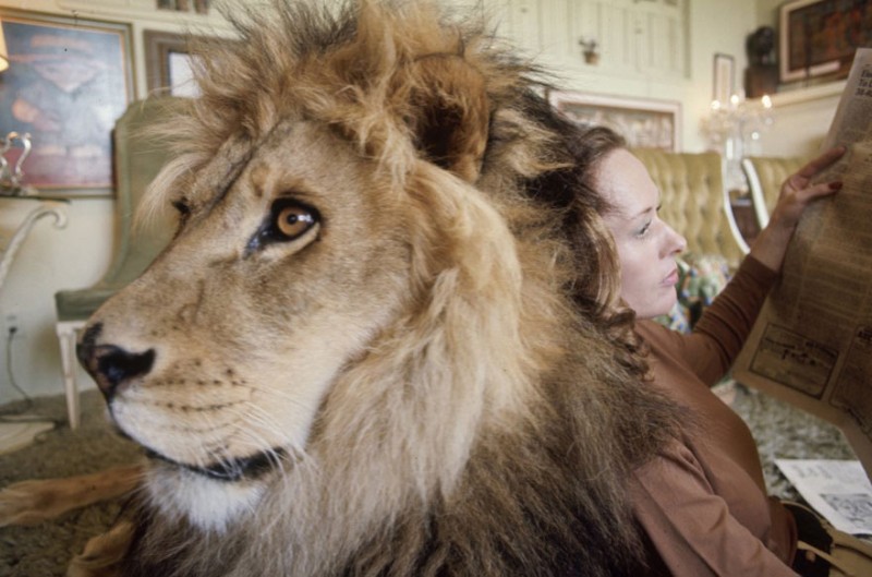 Tippi Hedren resting her back on Neil while reading a newspaper