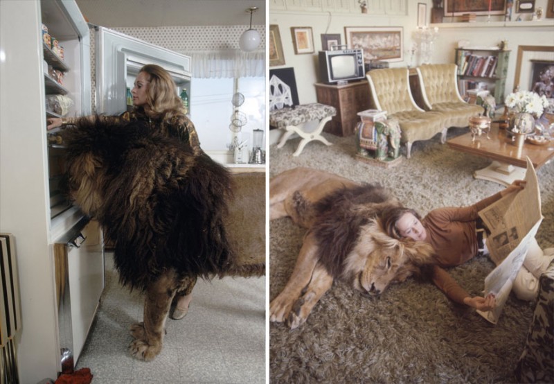 Tippi raids the fridge and reads a newspaper with Neil