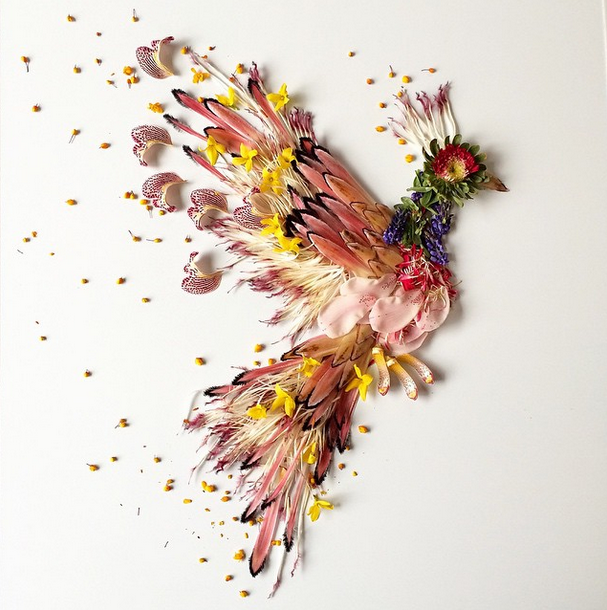 Colorful Collages with Flowers and Plants