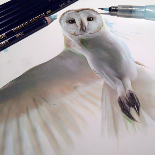 3D drawings created with pencil