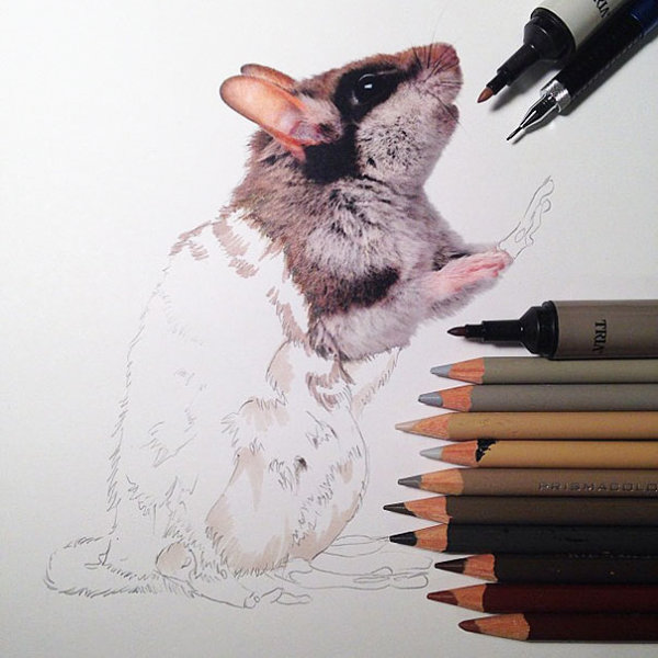 3D drawings created with pencil