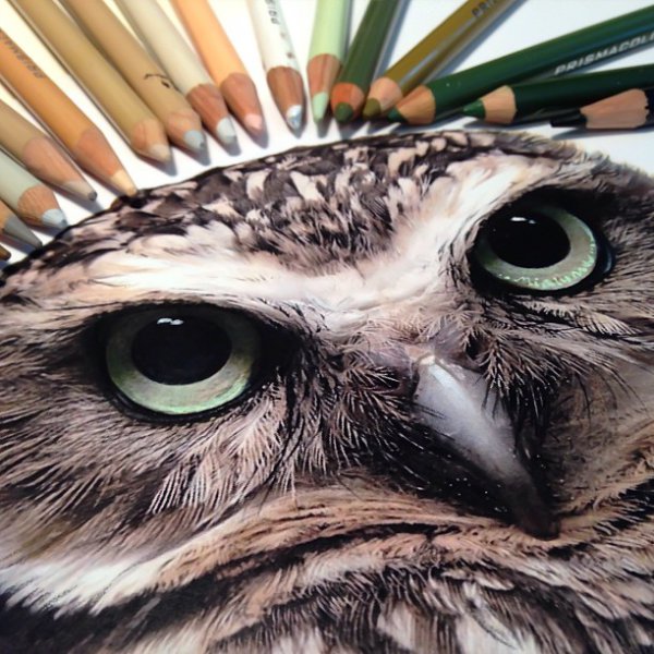 3D drawings created with pencil