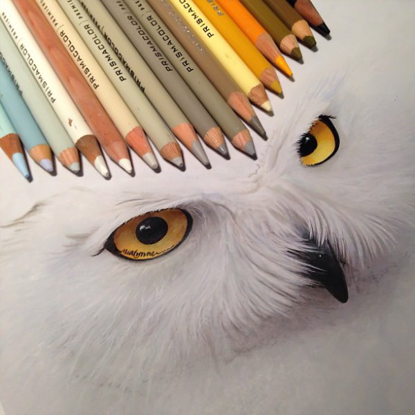 3D drawings created with pencil