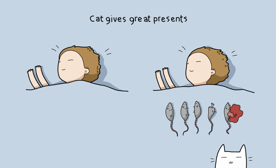 10 advantages of having a cat