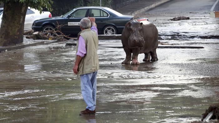 Flooding in Tbilisi