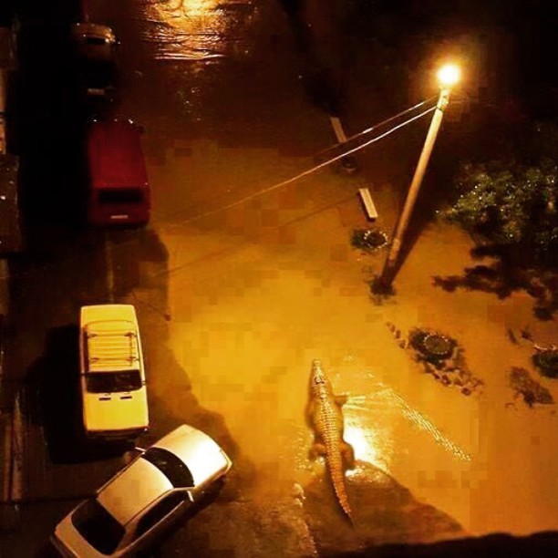 Flooding in Tbilisi