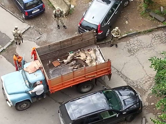 Flooding in Tbilisi