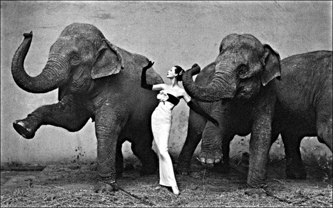 Legendary photographer Richard Avedon