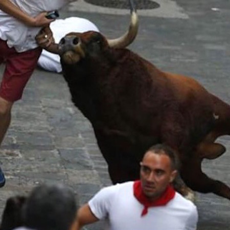 Running of the Bulls