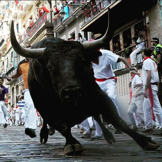 Running of the Bulls