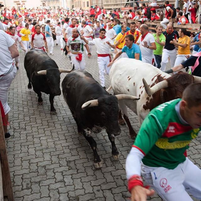 Running of the Bulls