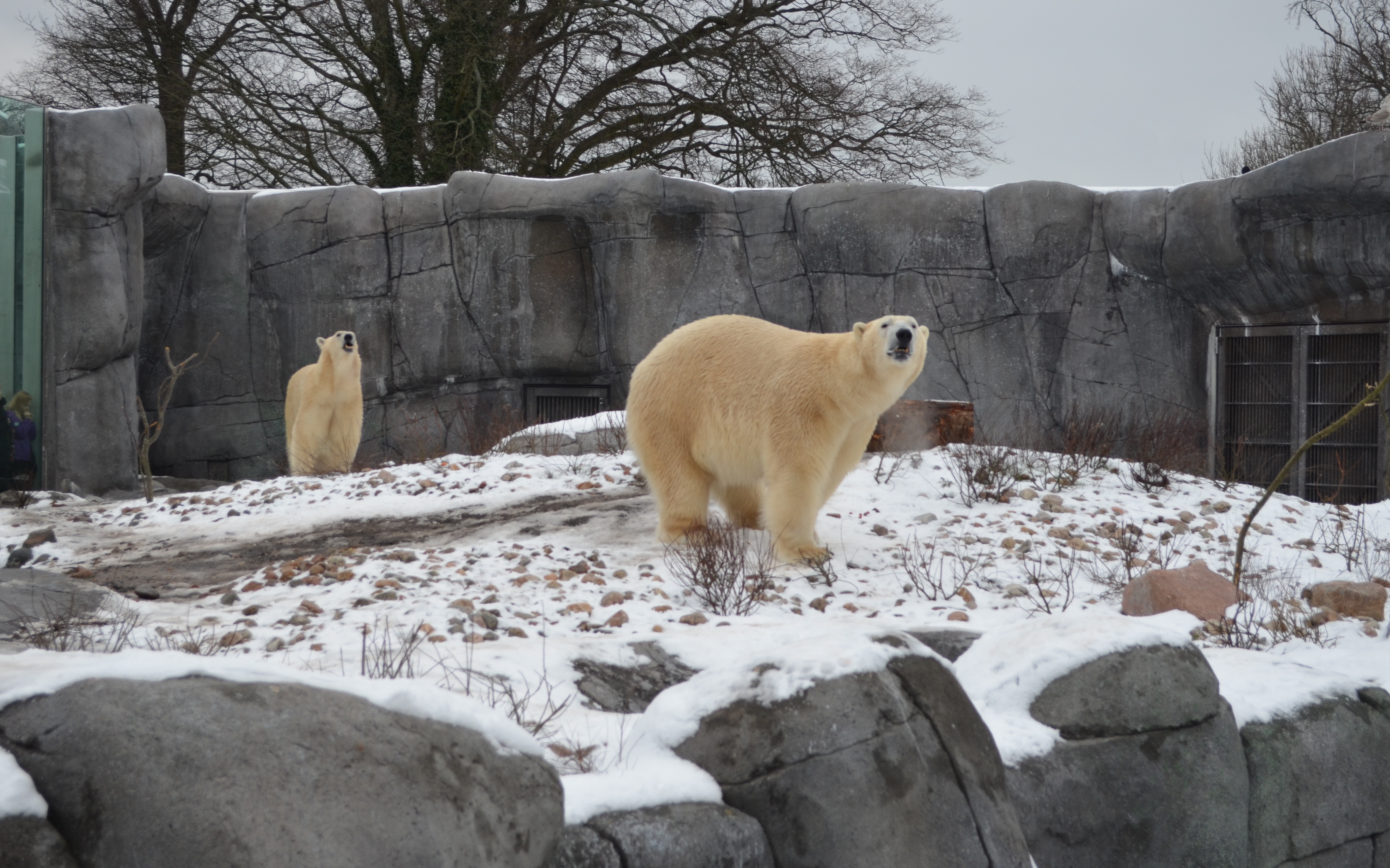 Copenhagen Zoo