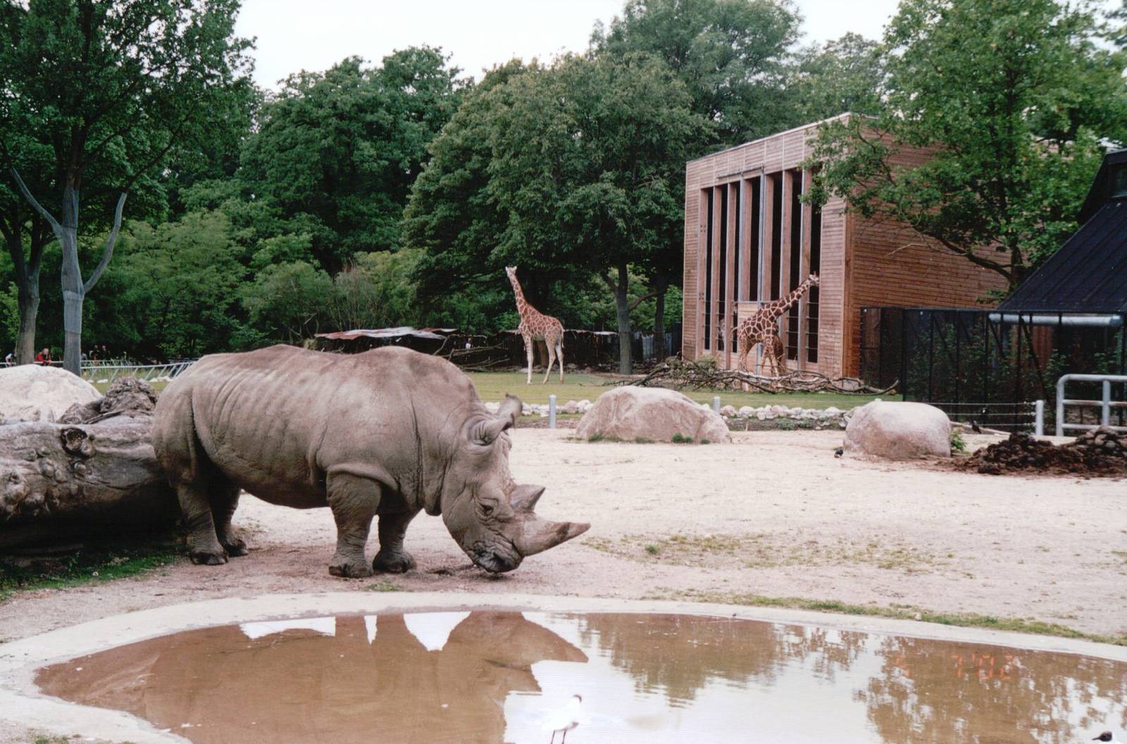 Copenhagen Zoo