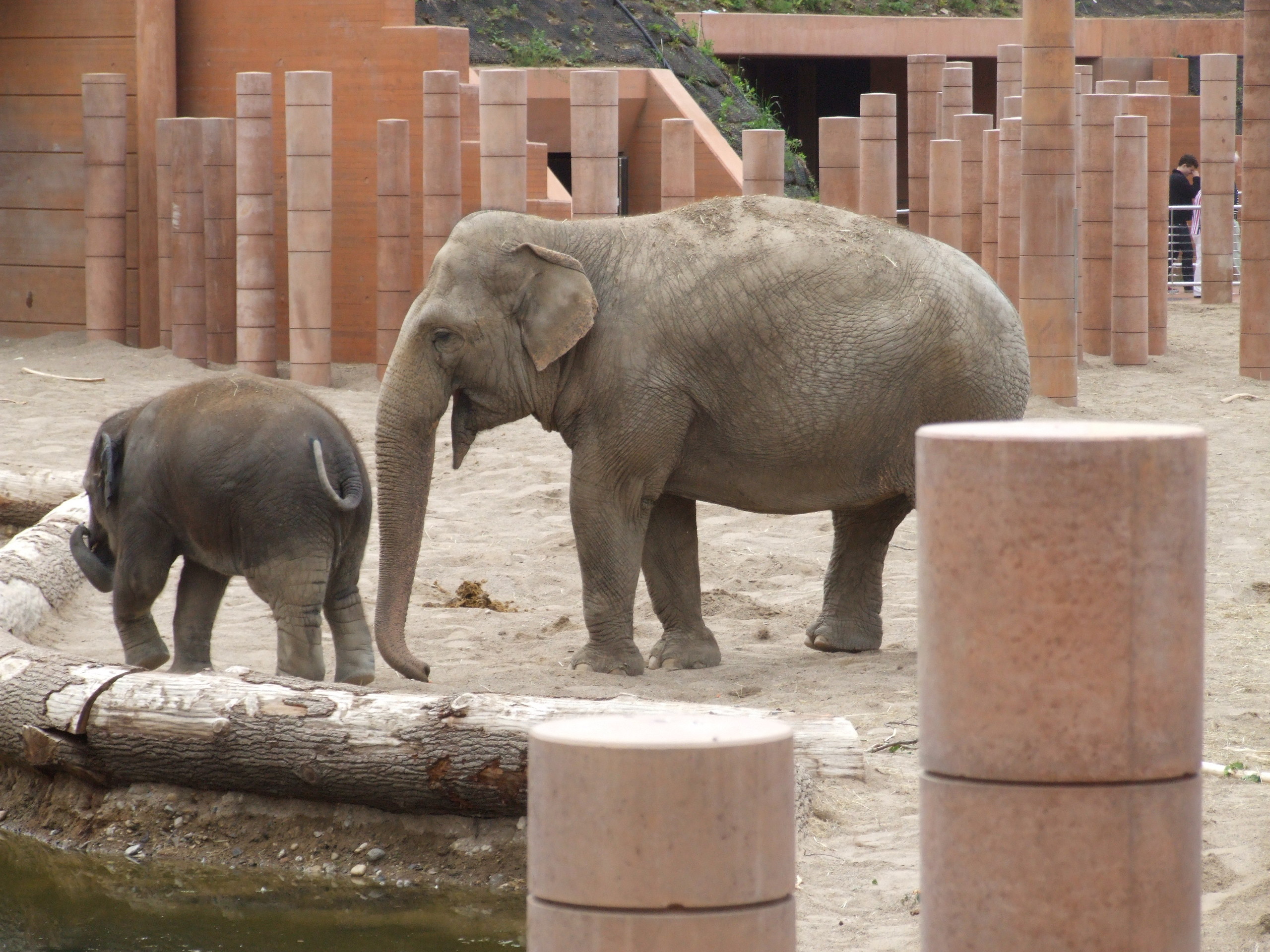 Copenhagen Zoo