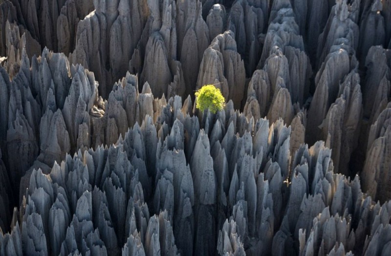 mazing places untouched by man 6