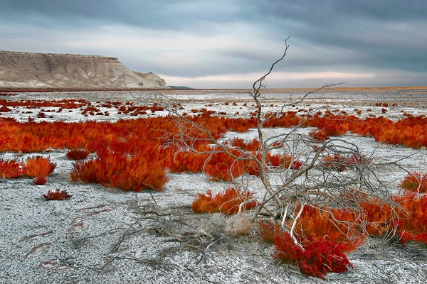 The mysterious Ustyurt Plateau 1